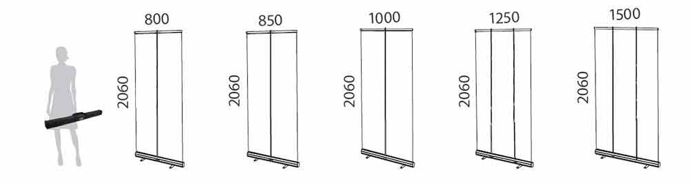 Rollup economico medidas 2025