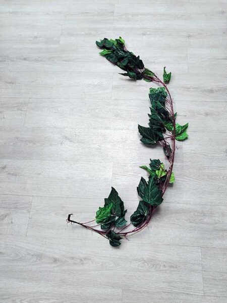Hojas de Parra Decorativas