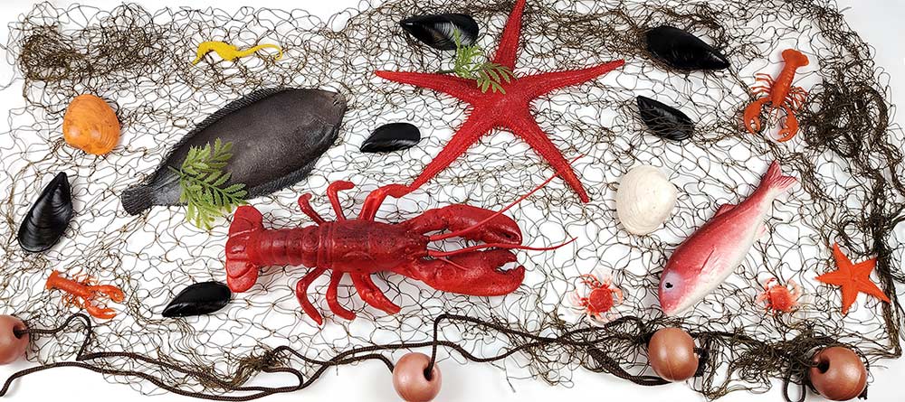 Kit decoración pescadería completo